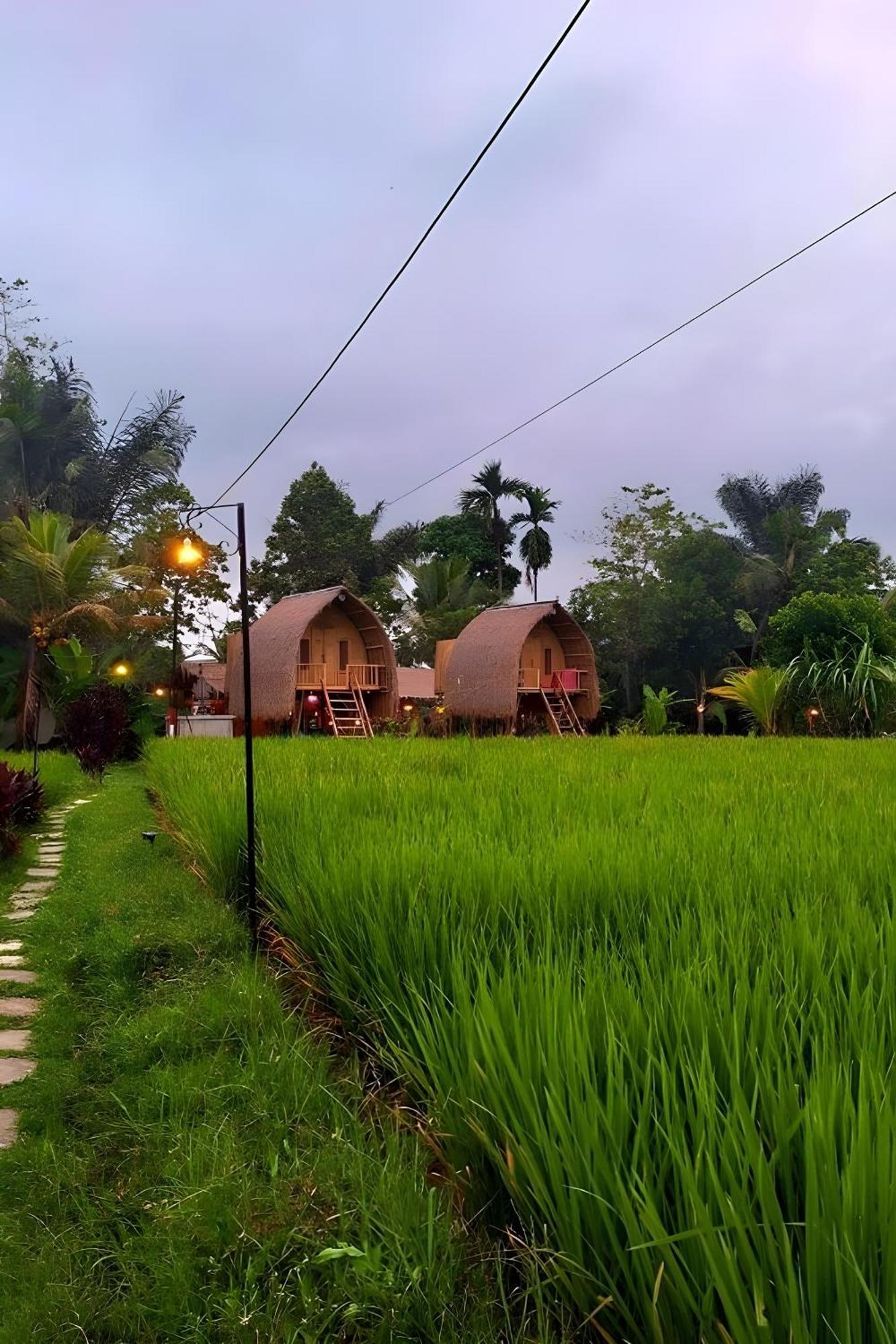 Lumbung Langit Bali House & Hostel Tampaksiring Exterior foto